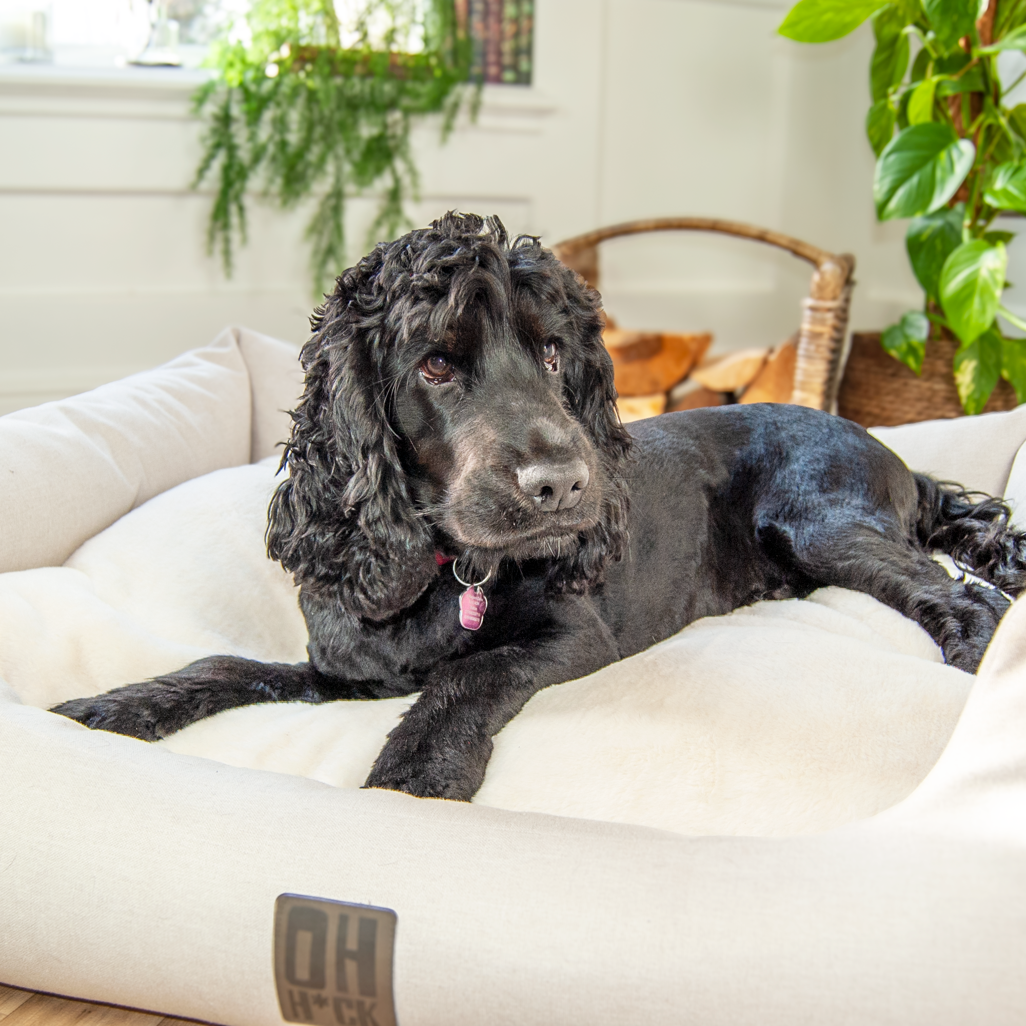 The Slumber Tray Bed - Ivory