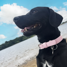 Load image into Gallery viewer, Baby Pink Vegan Dog Collar
