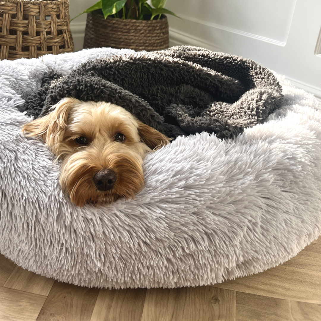 Calming Donut Bed - Husky Grey