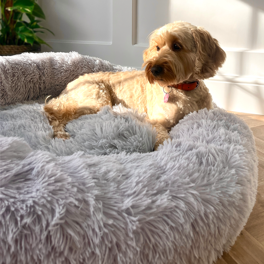 Calming Donut Bed - Husky Grey
