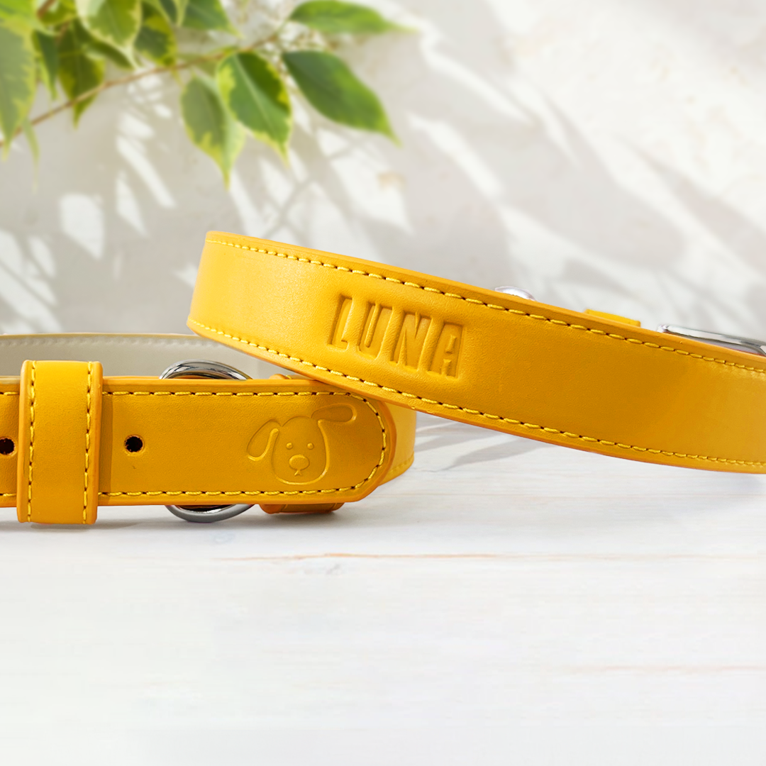 Vegan Leather Dog Collar - Amber