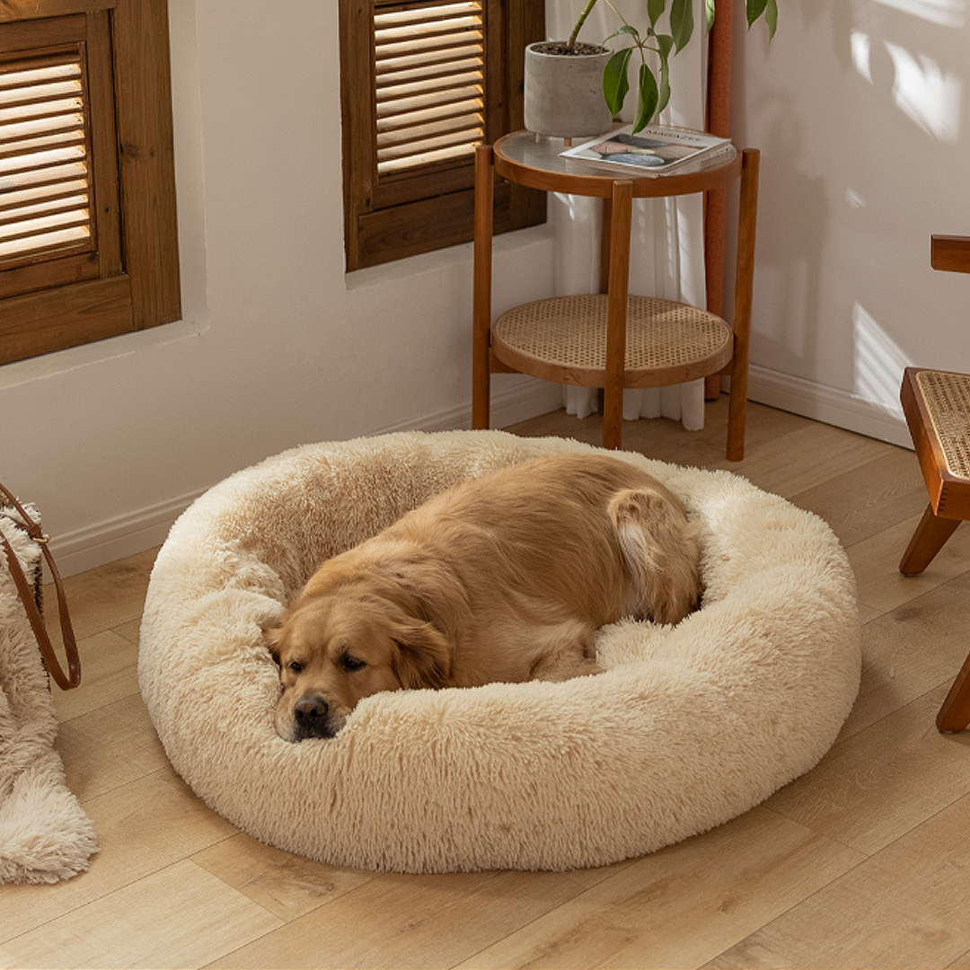 Apricot Calming Donut Bed