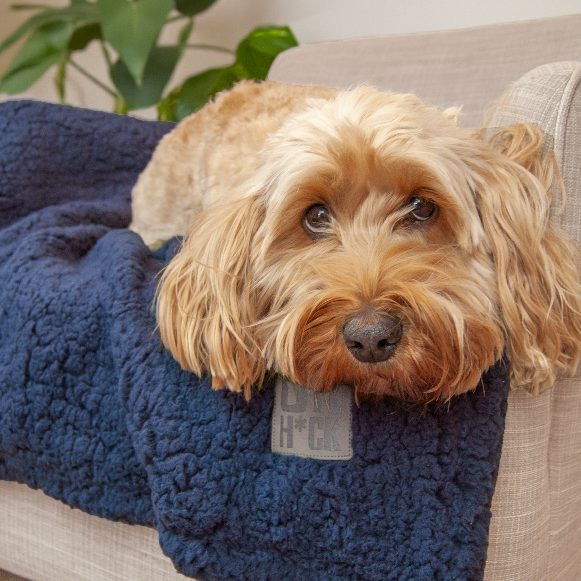 100% Recycled Fluffy Dog Blanket - Navy Blue