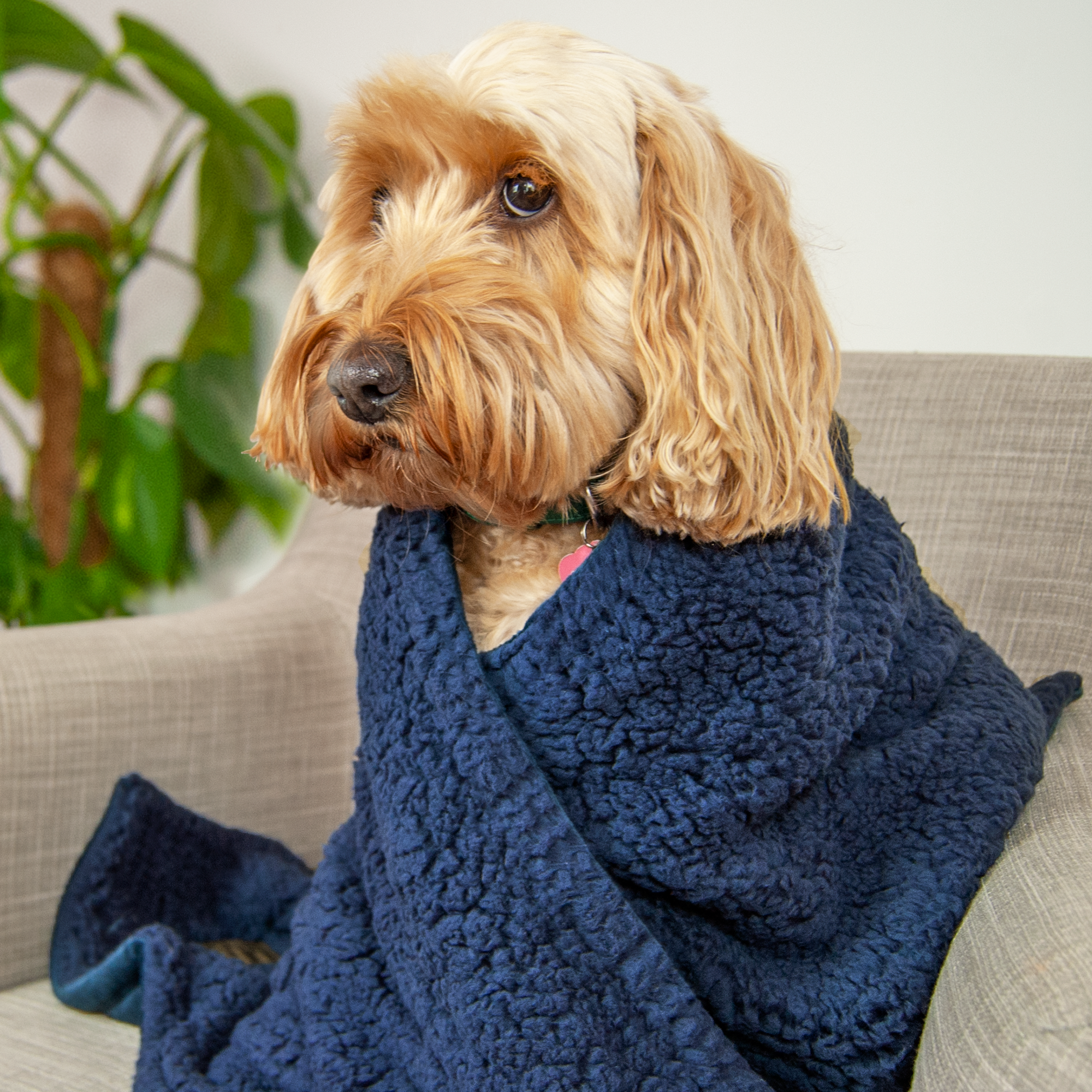 100% Recycled Fluffy Dog Blanket - Navy Blue