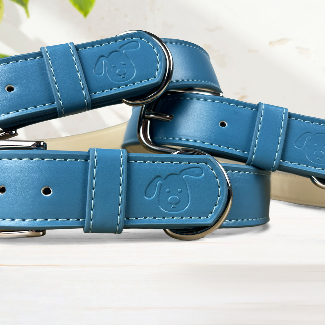 Vegan Leather Dog Collar - Carolina Blue