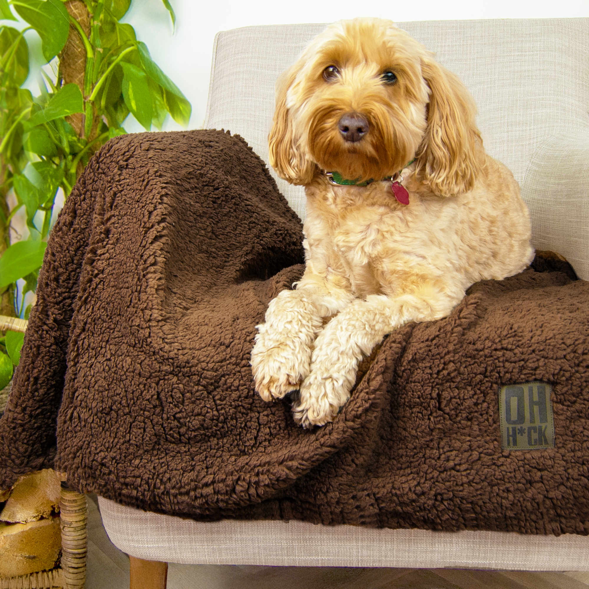 100% Recycled Fluffy Dog Blanket - Chocolate