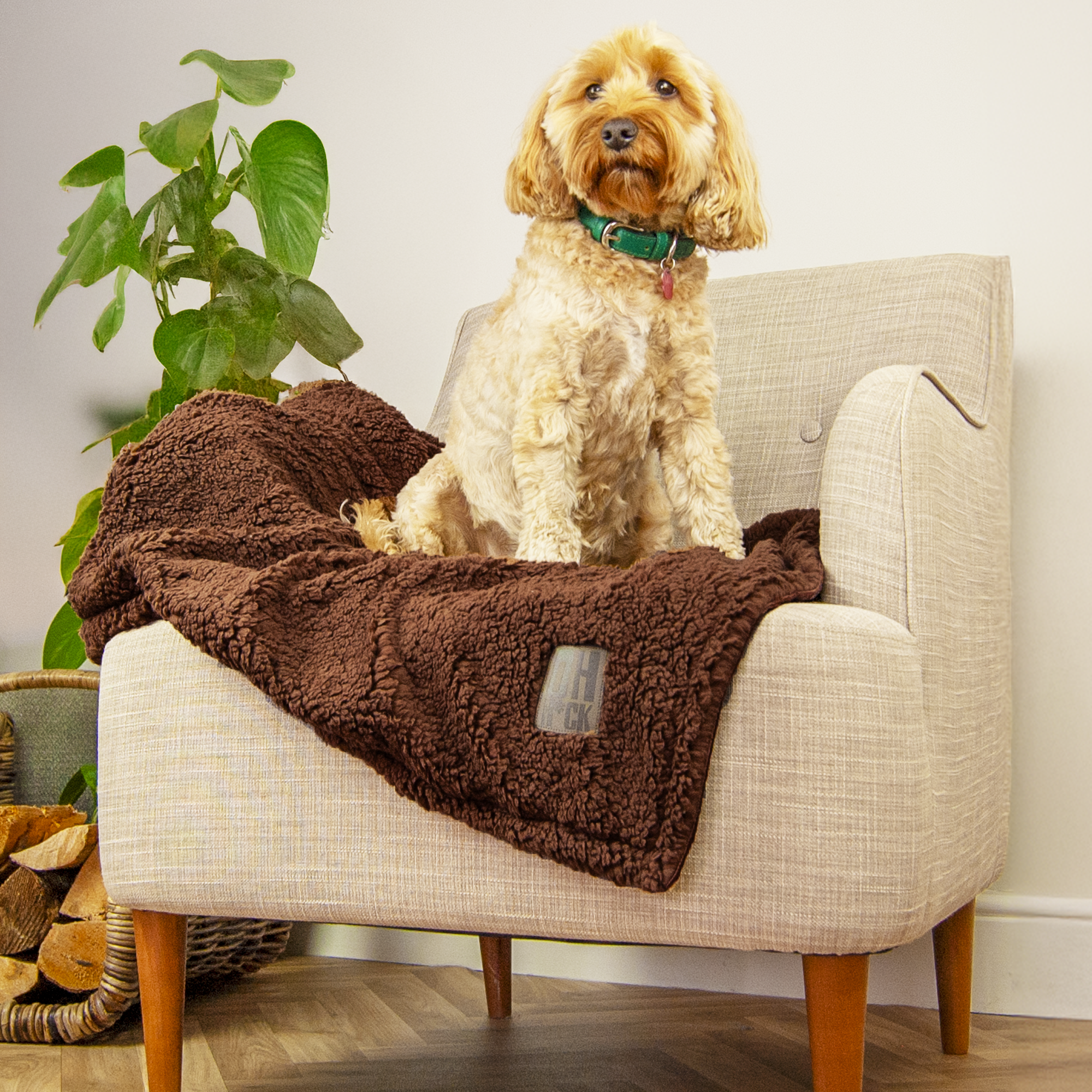 100% Recycled Fluffy Dog Blanket - Chocolate