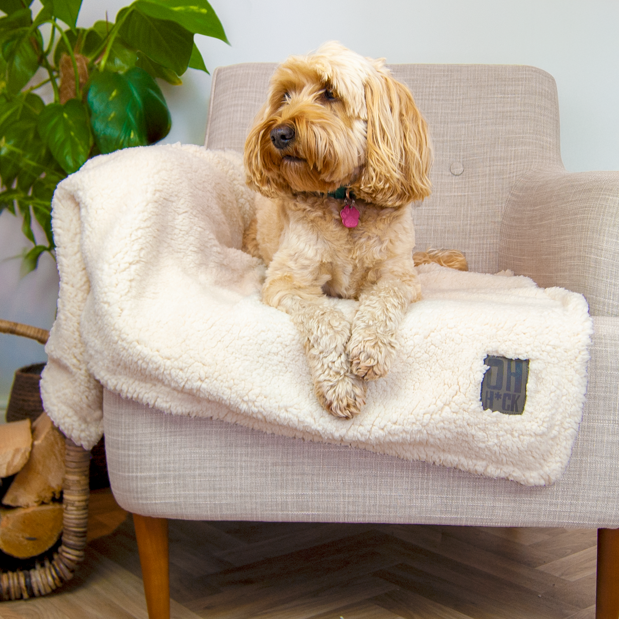 100% Recycled Fluffy Dog Blanket - Buttercream