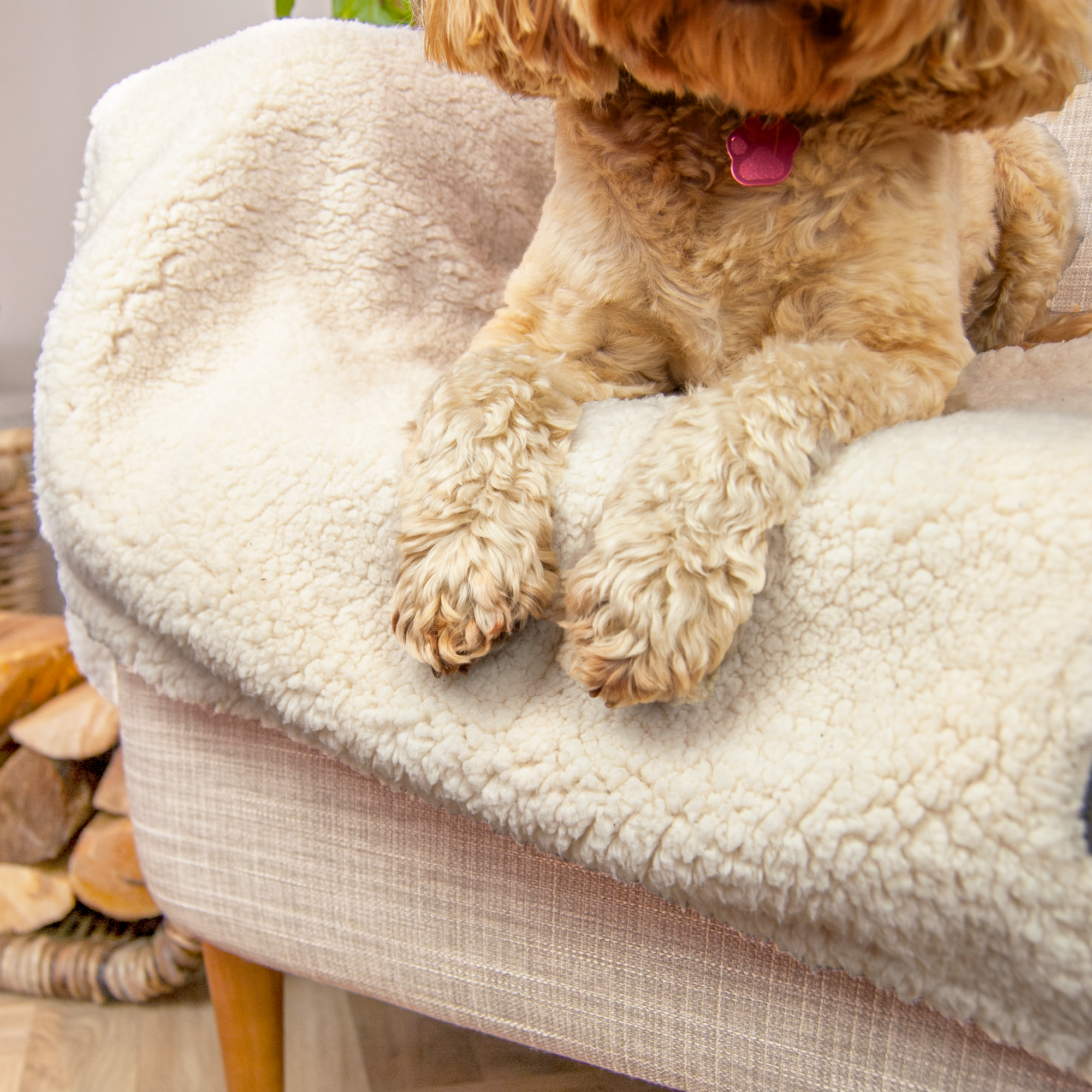 100% Recycled Fluffy Dog Blanket - Buttercream