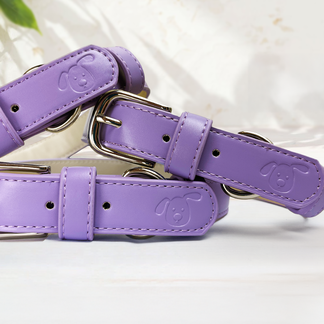 Vegan Leather Collar & Lead Set - Lopsided Lilac