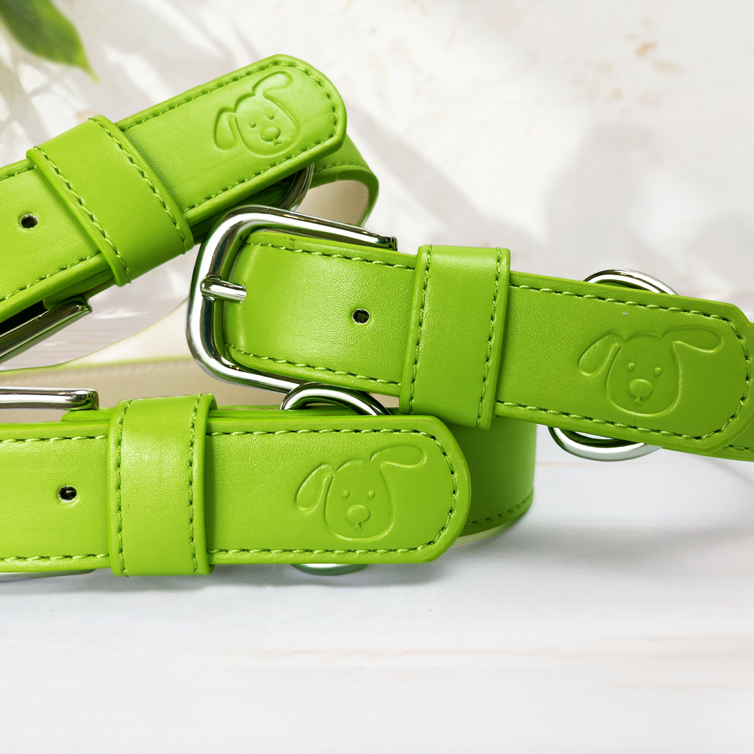 Vegan Leather Dog Collar - Spring Green