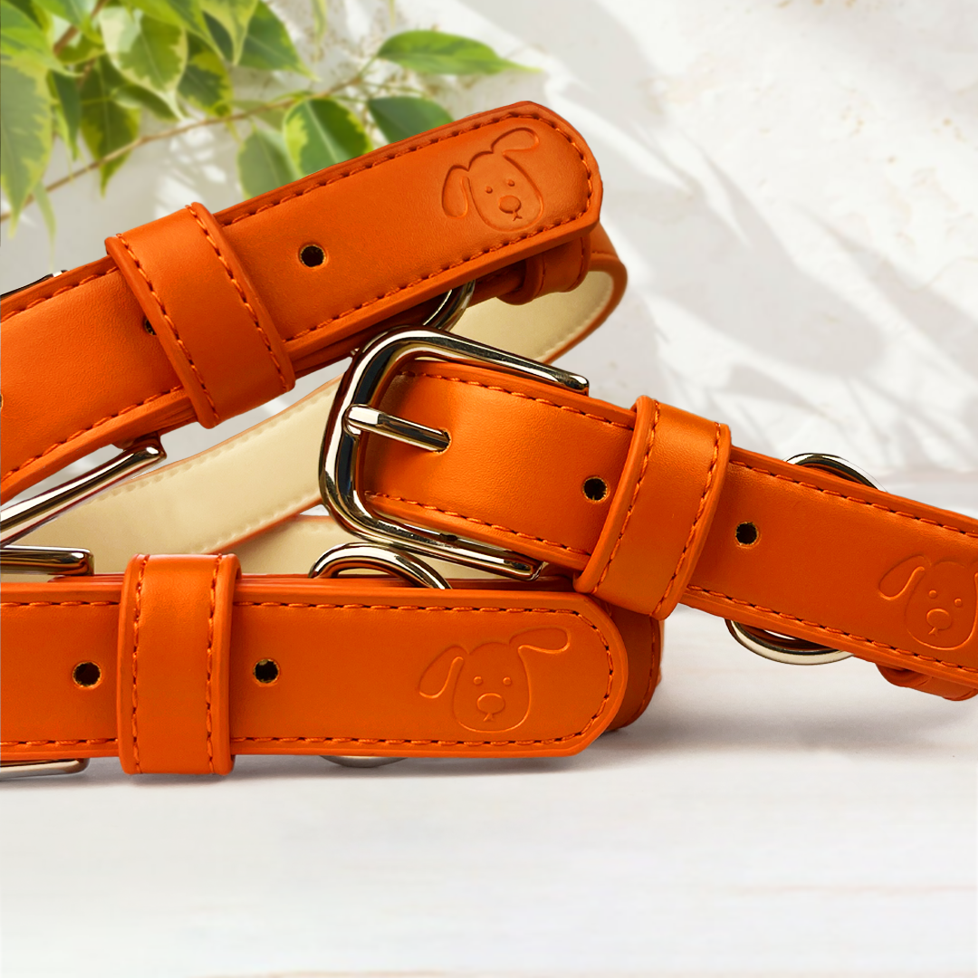 Vegan Leather Collar & Lead Set - Over-Caffeinated Coral