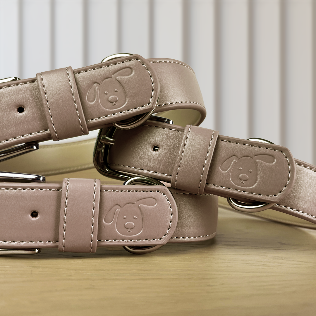 Vegan Leather Collar & Lead Set - (Prefers Matcha) Mocha
