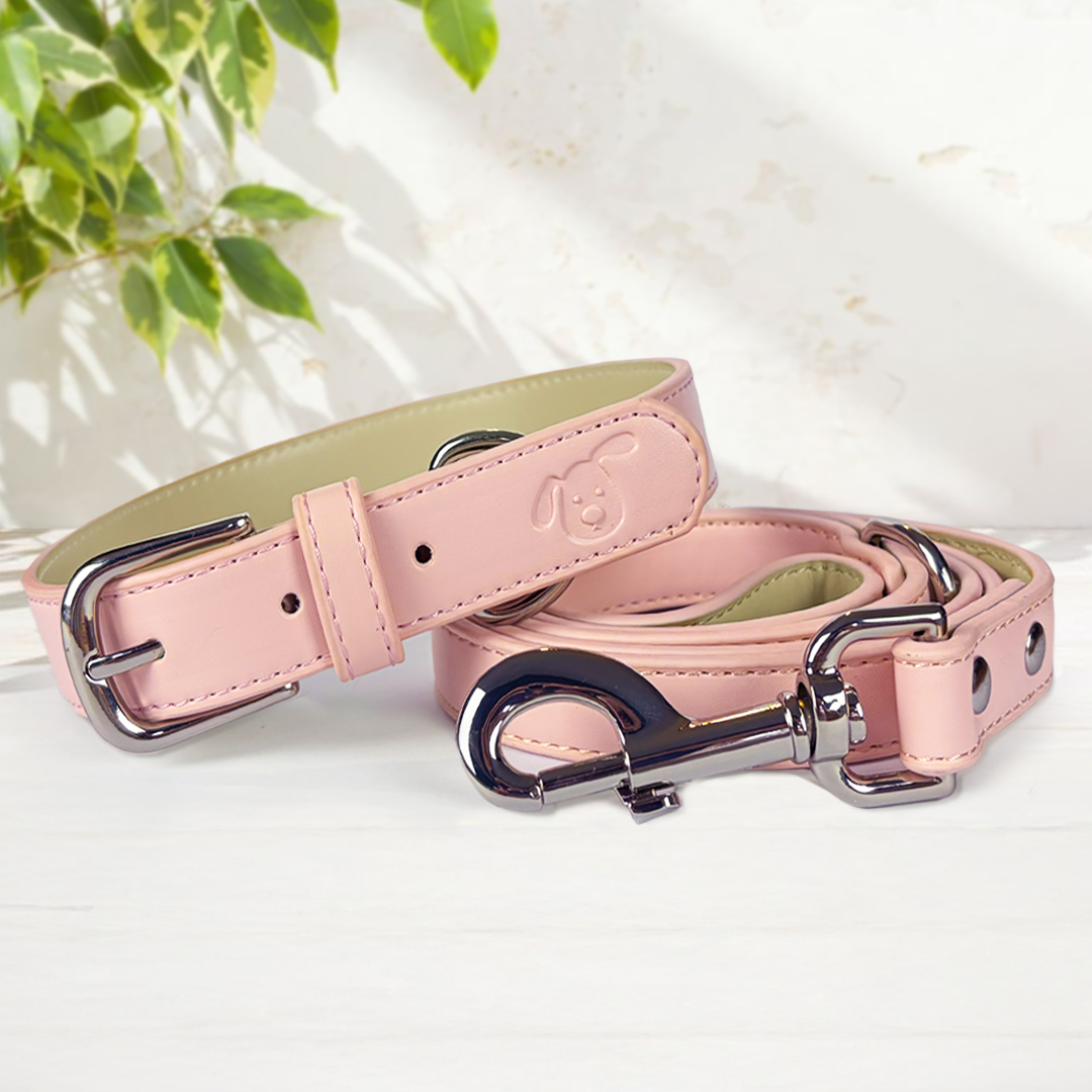 Vegan Leather Collar & Lead Set - Pampered Princess