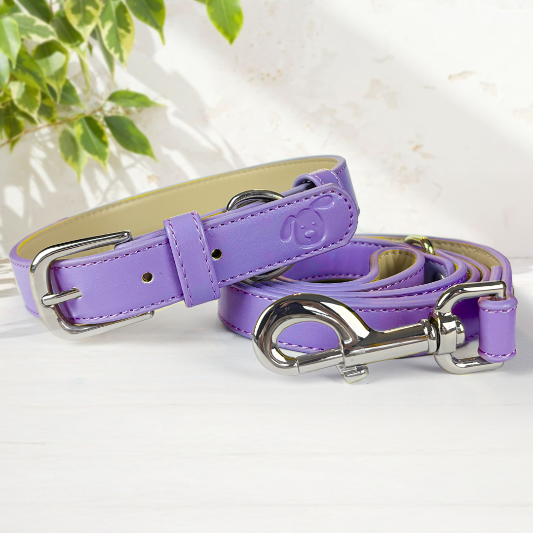 Vegan Leather Collar & Lead Set - Lopsided Lilac