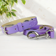 Load image into Gallery viewer, Vegan Leather Collar &amp; Lead Set - Lopsided Lilac

