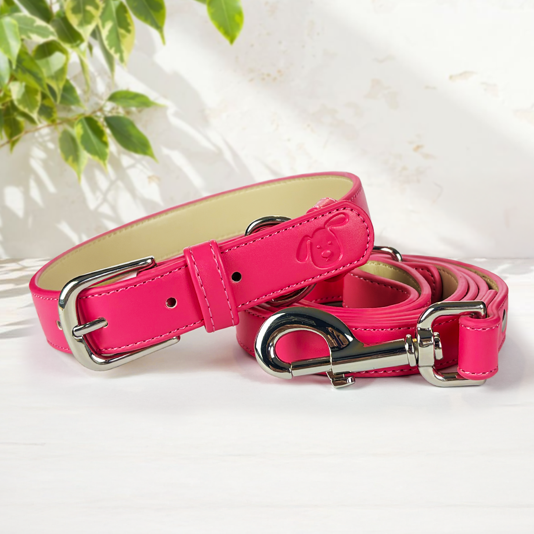 Vegan Leather Collar & Lead Set - Rebel Pink
