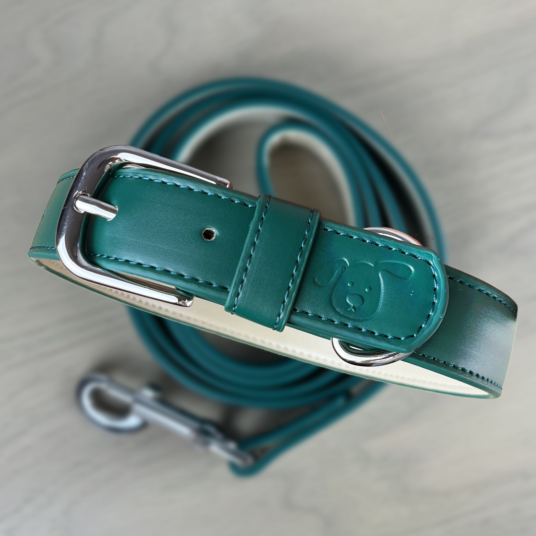 collars for boy dogs