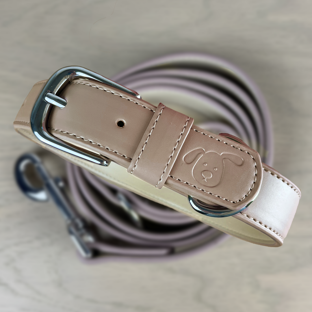 Vegan Leather Collar & Lead Set - (Prefers Matcha) Mocha