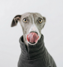 Load image into Gallery viewer, *ARRIVING SOON* The Doghouse Fleece Jumper - Charcoal
