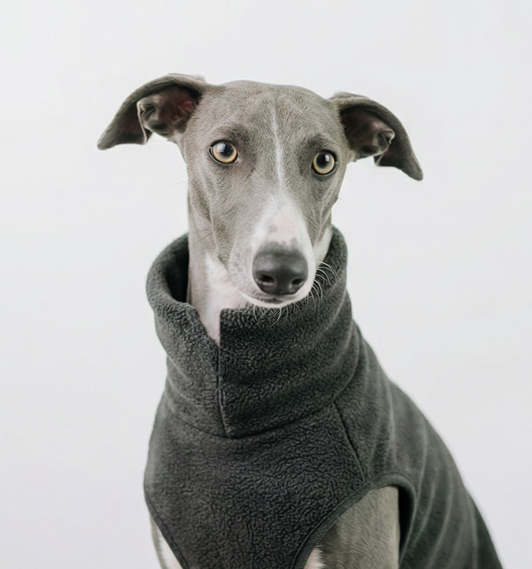 *ARRIVING SOON* The Doghouse Fleece Jumper - Charcoal