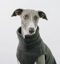 Load image into Gallery viewer, *ARRIVING SOON* The Doghouse Fleece Jumper - Charcoal
