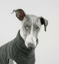 Load image into Gallery viewer, *ARRIVING SOON* The Doghouse Fleece Jumper - Charcoal
