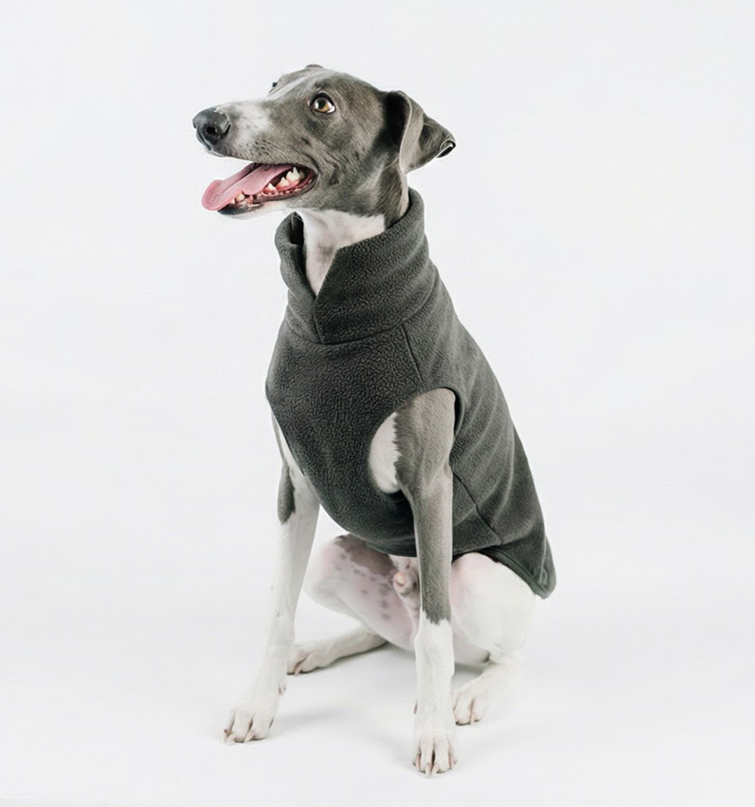 *ARRIVING SOON* The Doghouse Fleece Jumper - Charcoal
