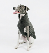 Load image into Gallery viewer, *ARRIVING SOON* The Doghouse Fleece Jumper - Charcoal
