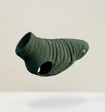 Load image into Gallery viewer, *ARRIVING SOON* The Doghouse Fleece Jumper - Racin' Green
