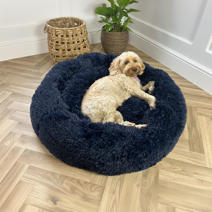 Donut Bed For Dogs, Donut Shape Dog Bed, Fluffy Donut Dog Bed, Donut Pet Dog Bed, Doughnut Bed Dog, Fun Dog Bed, Calm Dog Bed, Anti Anxiety Dog Bed, Eco Friendly Dog Bed, Comfy Dog Bed, Fluffy Dog Bed, Round Dog Bed, Dog Nesting Bed,