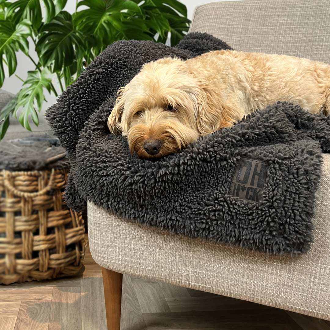 Extra Large Fluffy Dog Snuggle Blanket, Doggy Cuddling throw Blanket, Cosy pet bedspread, Eco-Friendly materials, Comfy Cozy Softest Blanket for Puppy Dog, Dog Bed Couch Sofa Blanket, sustainable dog accessories