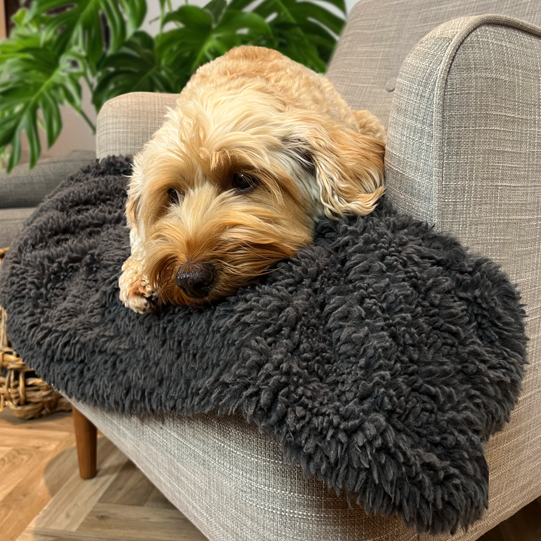 100% Recycled Fluffy Dog Blanket - Slate