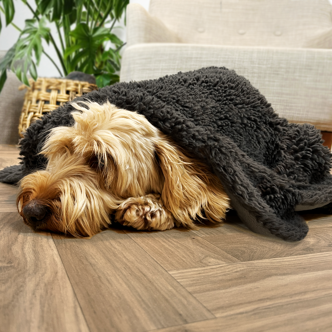 Doggy Blanket, Dog Snuggle Blanket, Dog Cuddle Blanket, Cozy Dog Blanket, Soft Dog Blanket, Dog Blanket Couch, Dog Blanker Bed, Dog Banket Washable, Puppy Blanket, Dog Throw Blanket, Soft Blanket Dog, Comfy Blanket, Eco Blanket