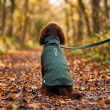 Load image into Gallery viewer, Wet Walkies Raincoat - Puddle Goblin
