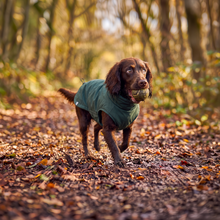 Load image into Gallery viewer, Wet Walkies Raincoat - Puddle Goblin
