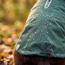 Load image into Gallery viewer, Wet Walkies Raincoat - Puddle Goblin
