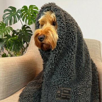 The Snuggler' Fluffy Dog Blanket - Slate – OH HECK dogs