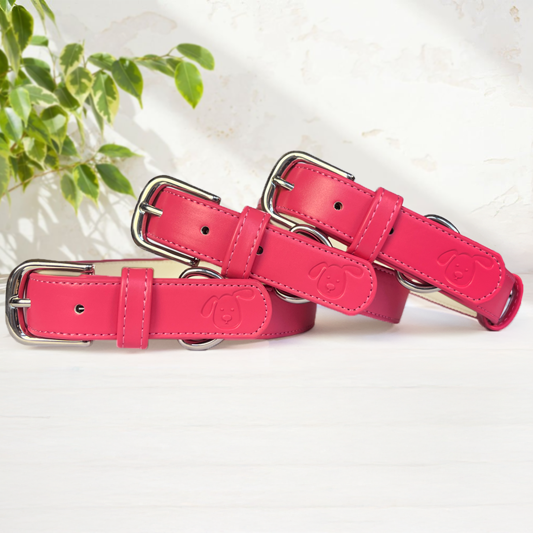 Vegan Leather Collar & Lead Set - Rebel Pink