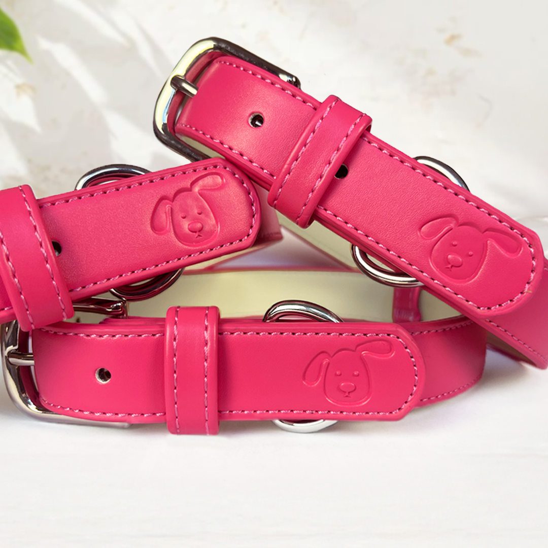 Vegan Leather Collar & Lead Set - Rebel Pink