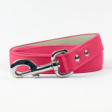 Load image into Gallery viewer, Vegan Leather Dog Lead - Rebel Pink
