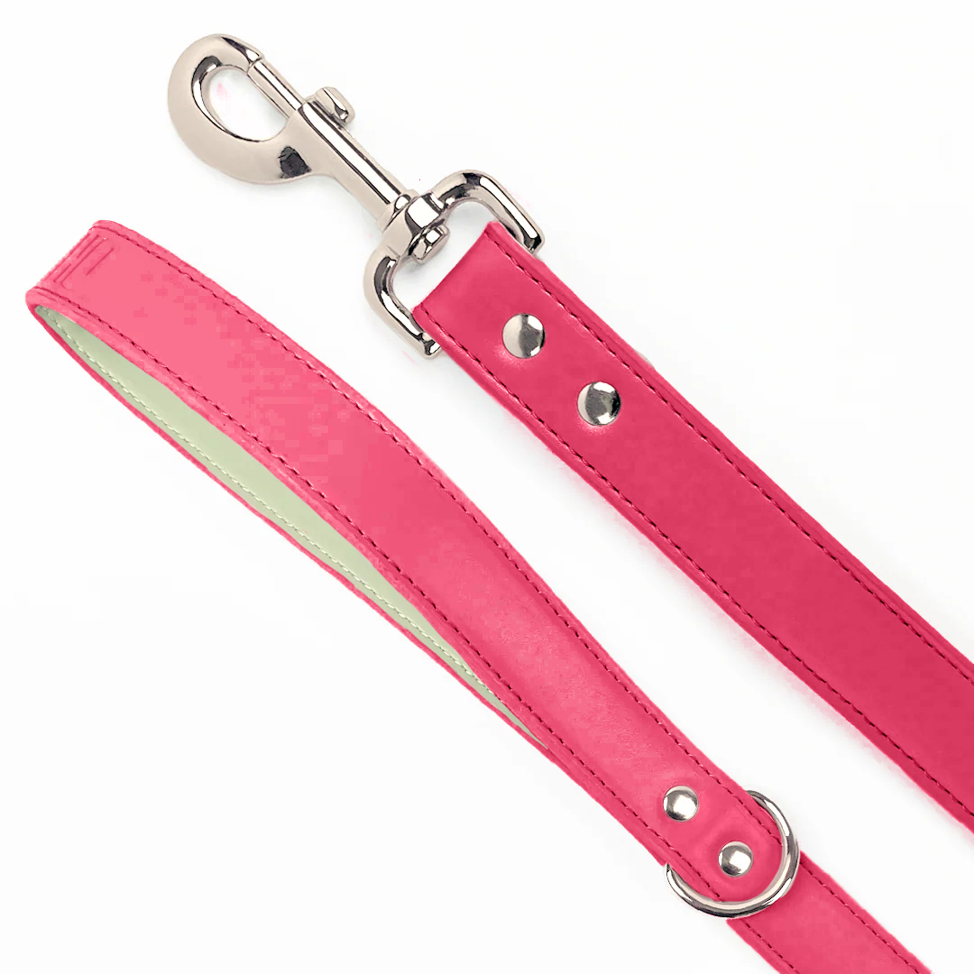 Vegan Leather Dog Lead - Rebel Pink