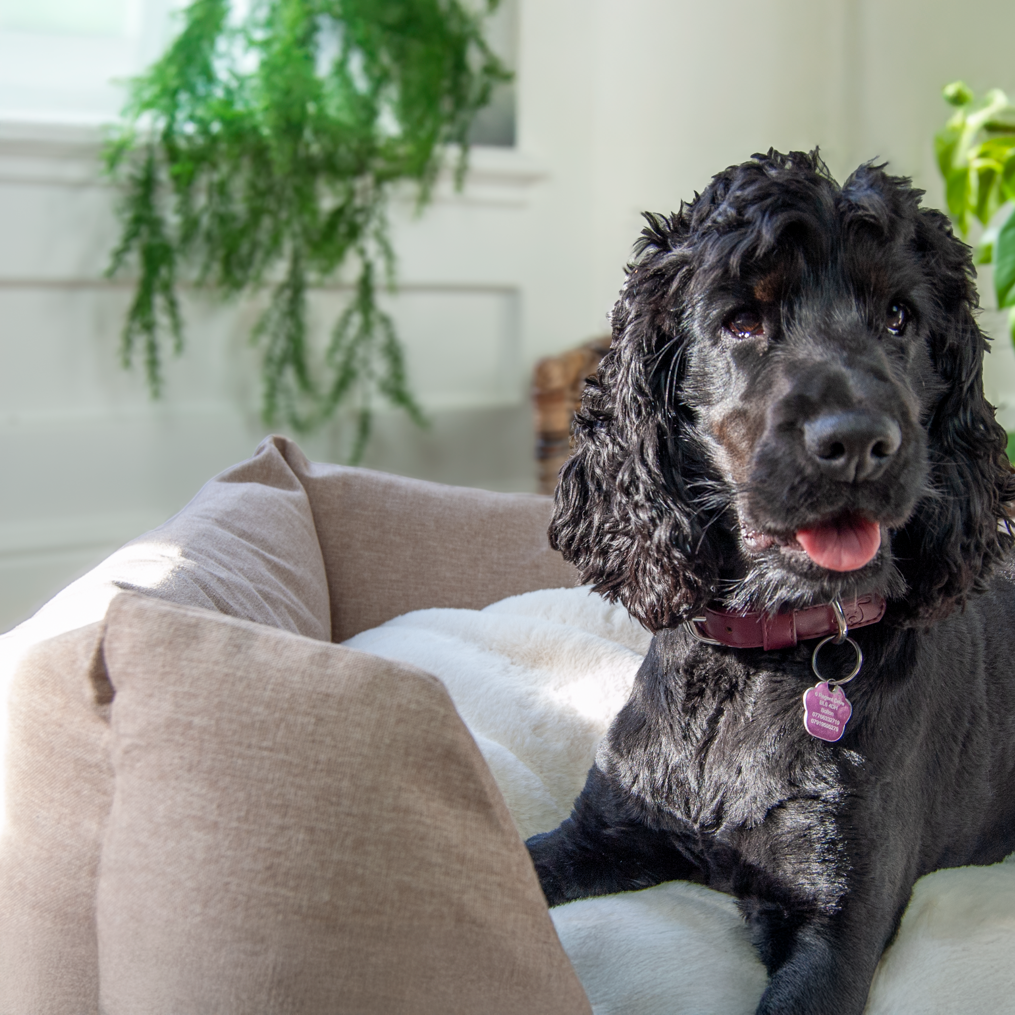 The Slumber Tray Bed - Sandstone