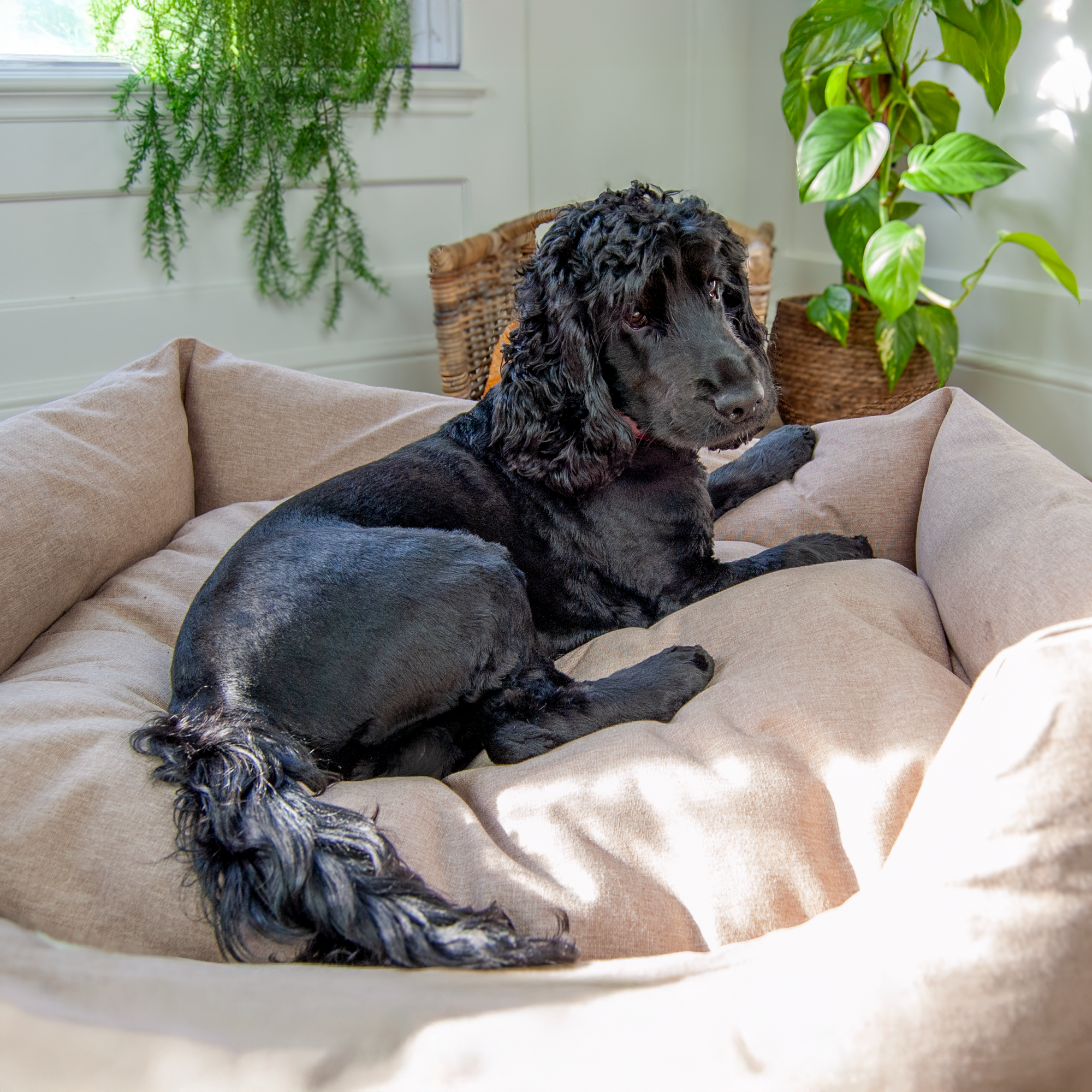 The Slumber Tray Bed - Sandstone