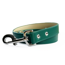 Load image into Gallery viewer, Vegan Leather Dog Lead - Racing Green
