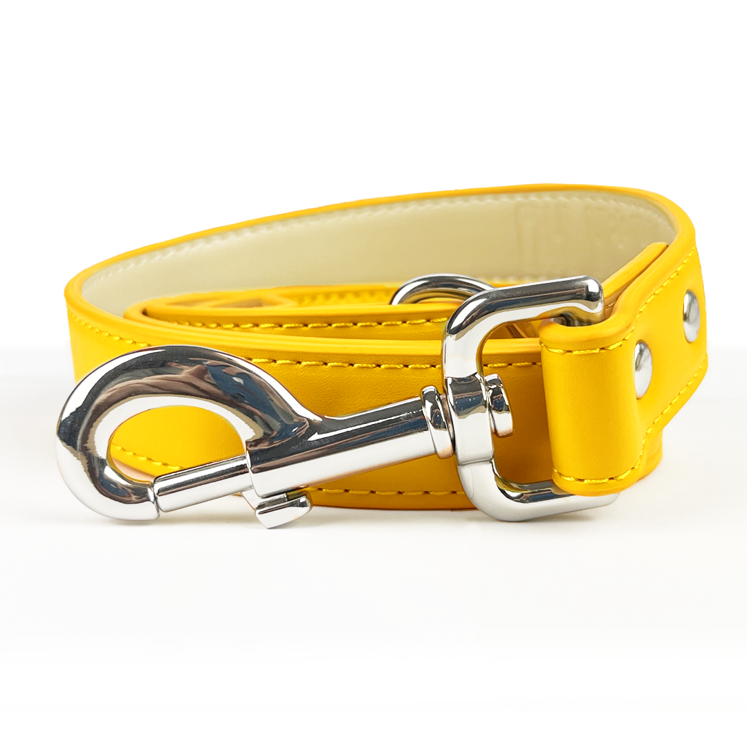 Vegan Leather Dog Lead - Amber