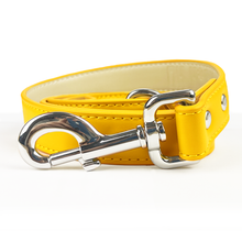 Load image into Gallery viewer, Vegan Leather Dog Lead - Amber
