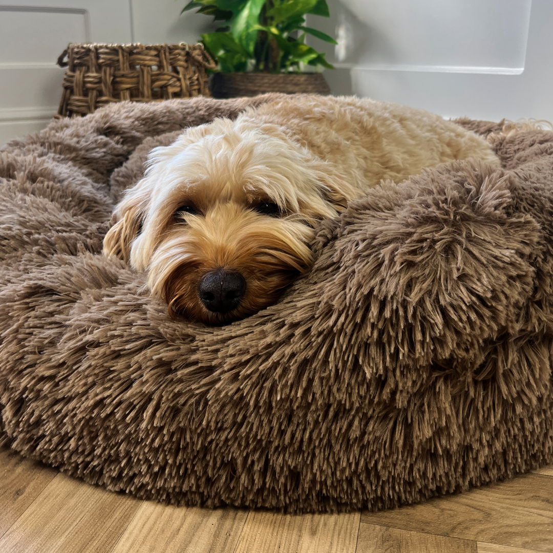 Calming Donut Bed - Light Brown