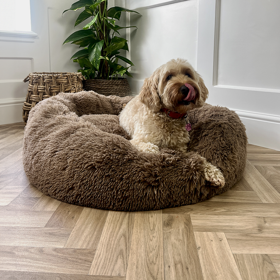 Calming Donut Bed - Light Brown