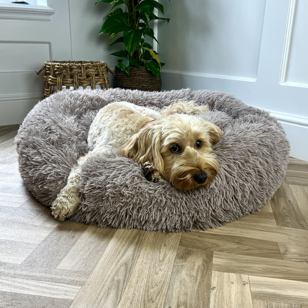 Mocha Calming Donut Bed